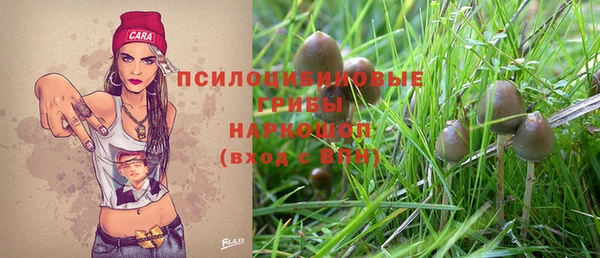 эйфоретик Пересвет