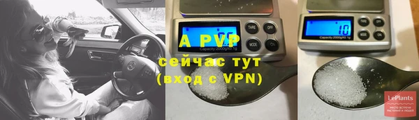 эйфоретик Пересвет