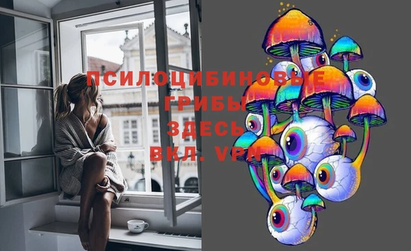 спиды Пестово