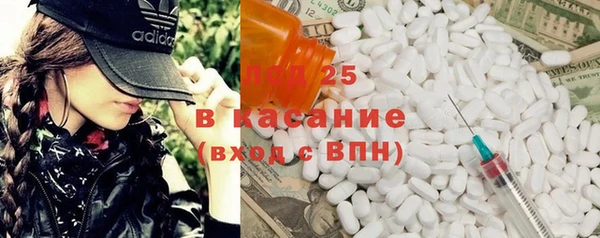 эйфоретик Пересвет