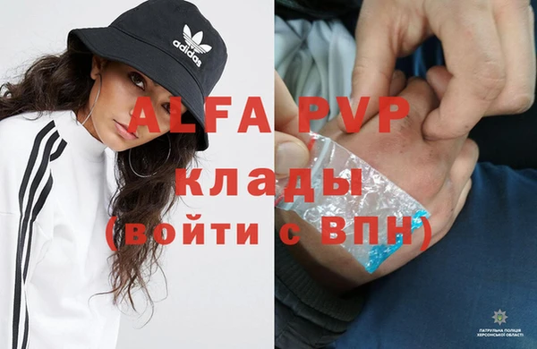 эйфоретик Пересвет