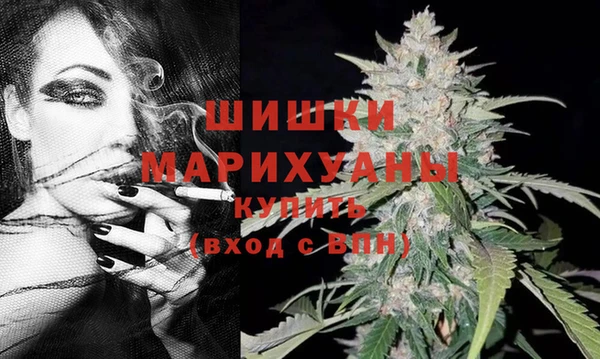эйфоретик Пересвет