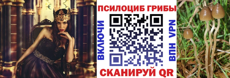 Галлюциногенные грибы MAGIC MUSHROOMS  цены   Балей 